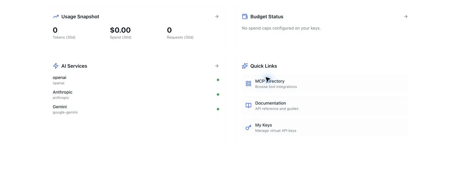 Real Argus portal overview showing usage snapshot, budget status, AI service providers and quick links.